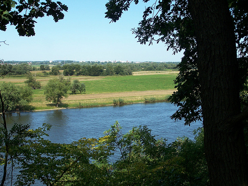 Lower Oder Valley National Park